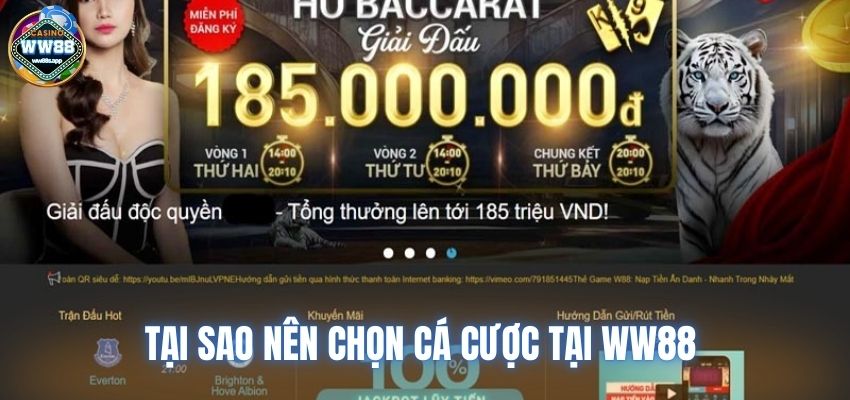 Tại sao nên chọn cá cược tại WW88 mà không phải nơi khác