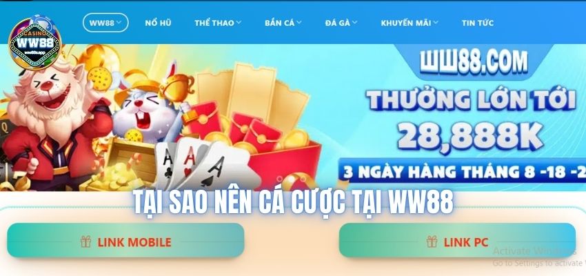 Tại sao nên cá cược tại ww88